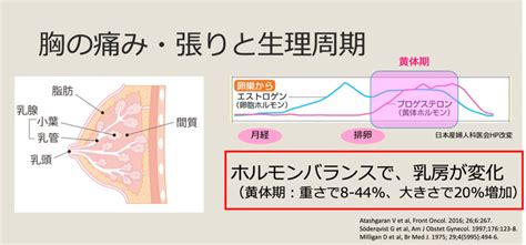 おっパイ チクチク 痛い|» 乳房が痛いとき、どうする？｜乳がん大事典｜一般 